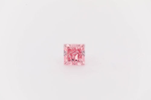 ラムPretty Princess Paparazzi ♥ Bewitching Bow - Pink ♥ Necklace – LisaAbercrombie